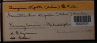 Image Associated With the Occurence